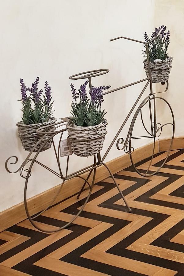 Domus Paradiso In Center Appartement Rome